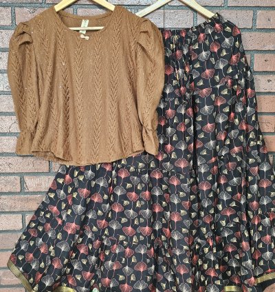 Glittery brown top with Jaipur Cotton Skirt combo (0012)